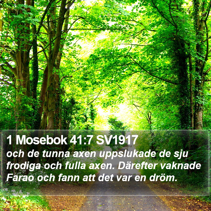 1 Mosebok 41:7 SV1917 Bible Study