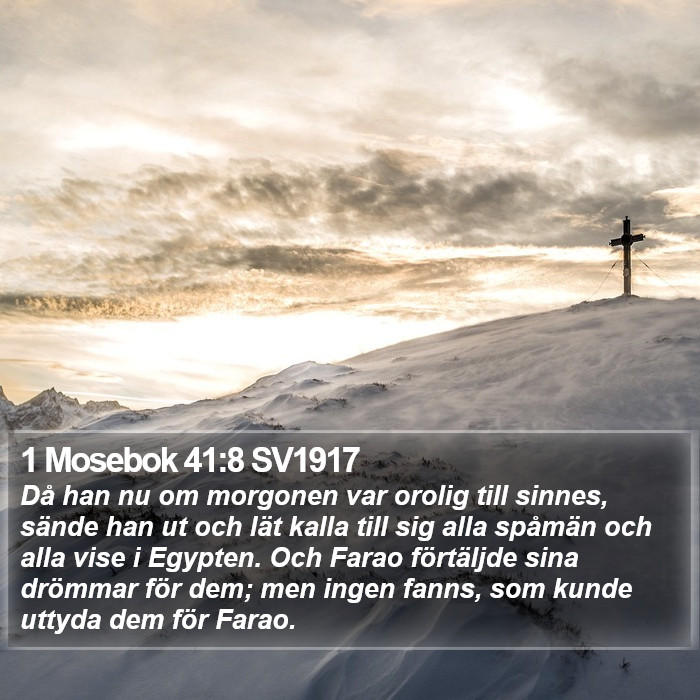 1 Mosebok 41:8 SV1917 Bible Study