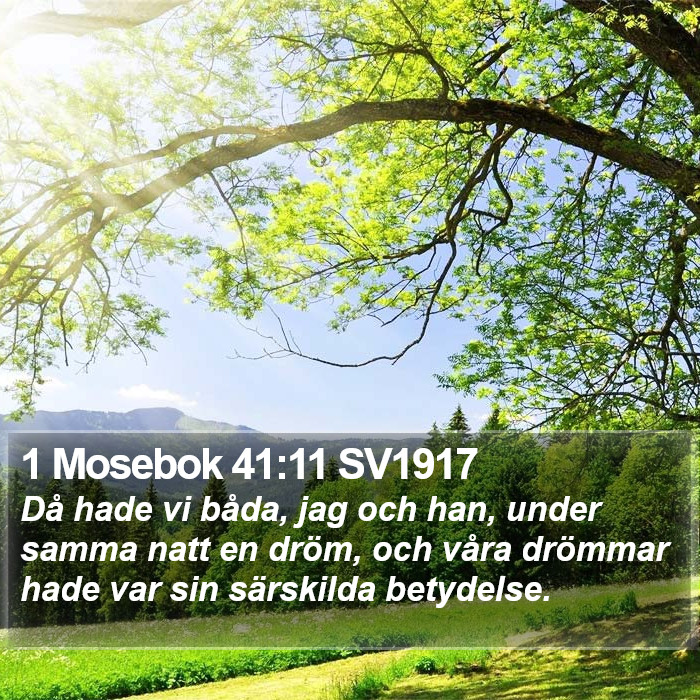 1 Mosebok 41:11 SV1917 Bible Study