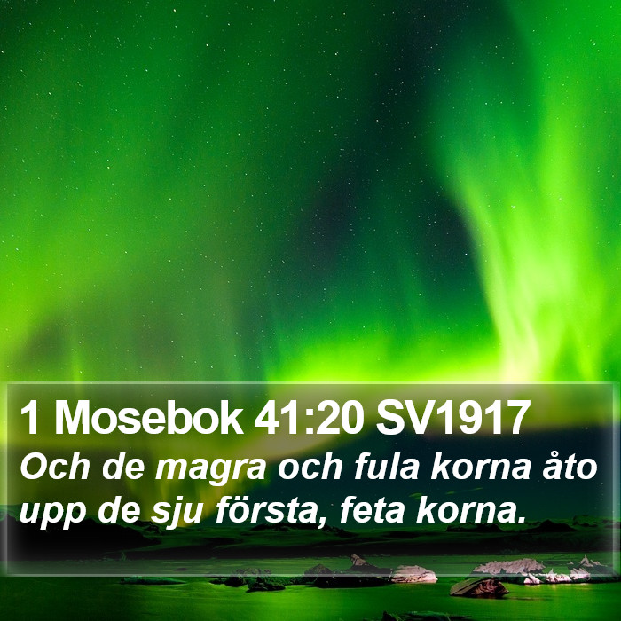 1 Mosebok 41:20 SV1917 Bible Study