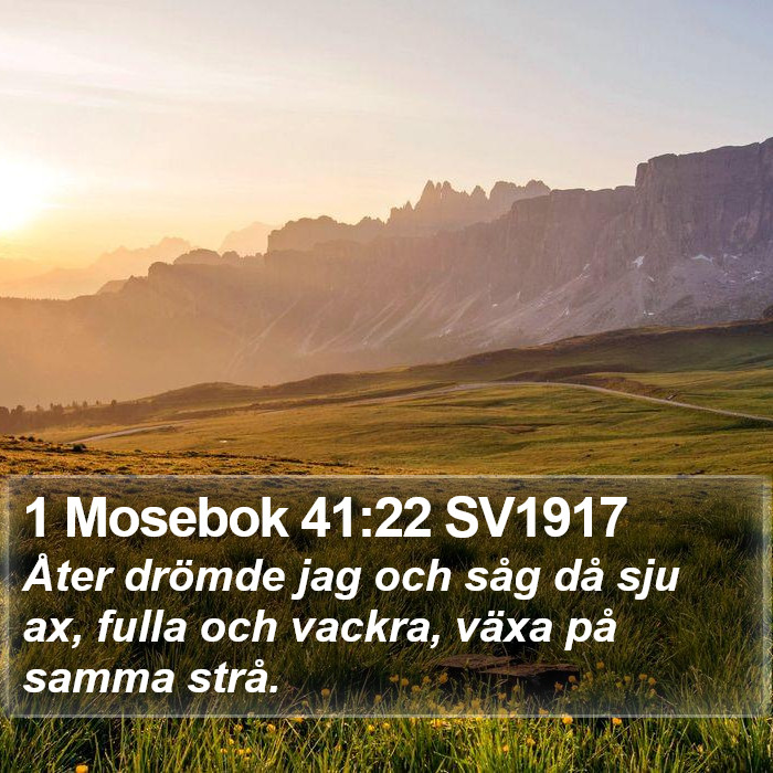 1 Mosebok 41:22 SV1917 Bible Study