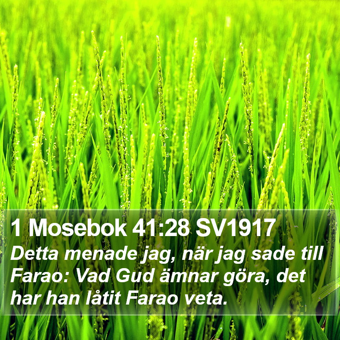 1 Mosebok 41:28 SV1917 Bible Study