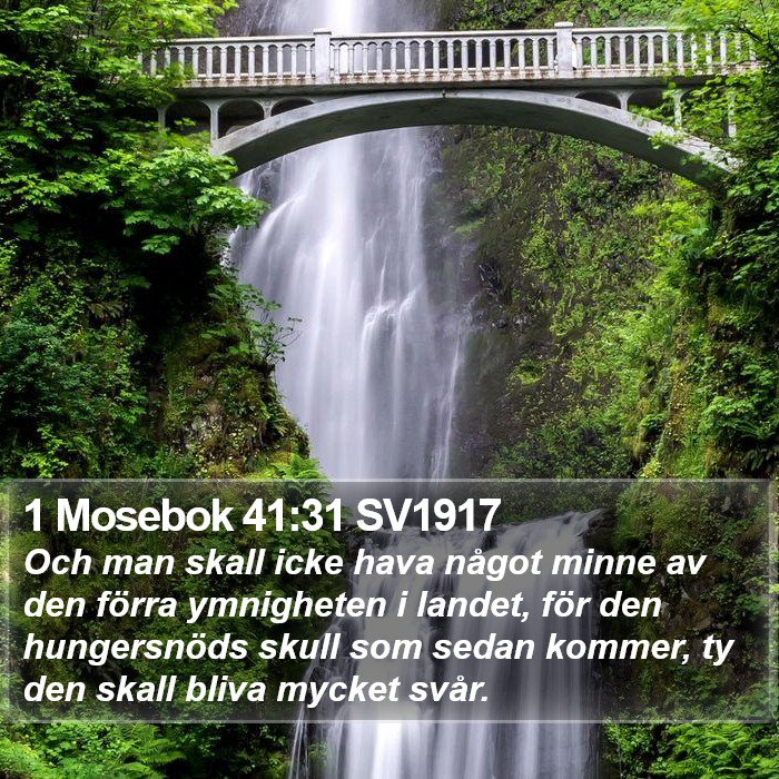 1 Mosebok 41:31 SV1917 Bible Study