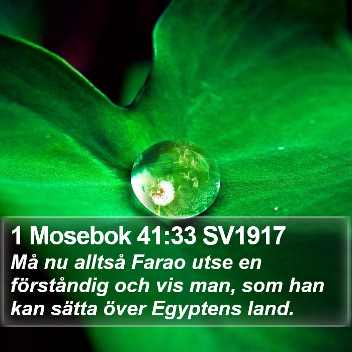 1 Mosebok 41:33 SV1917 Bible Study