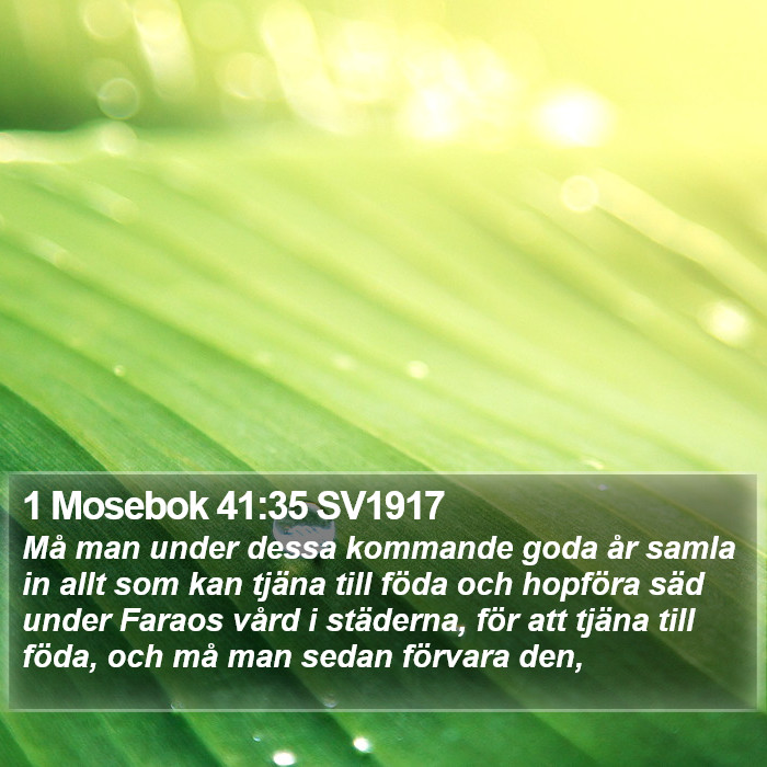 1 Mosebok 41:35 SV1917 Bible Study