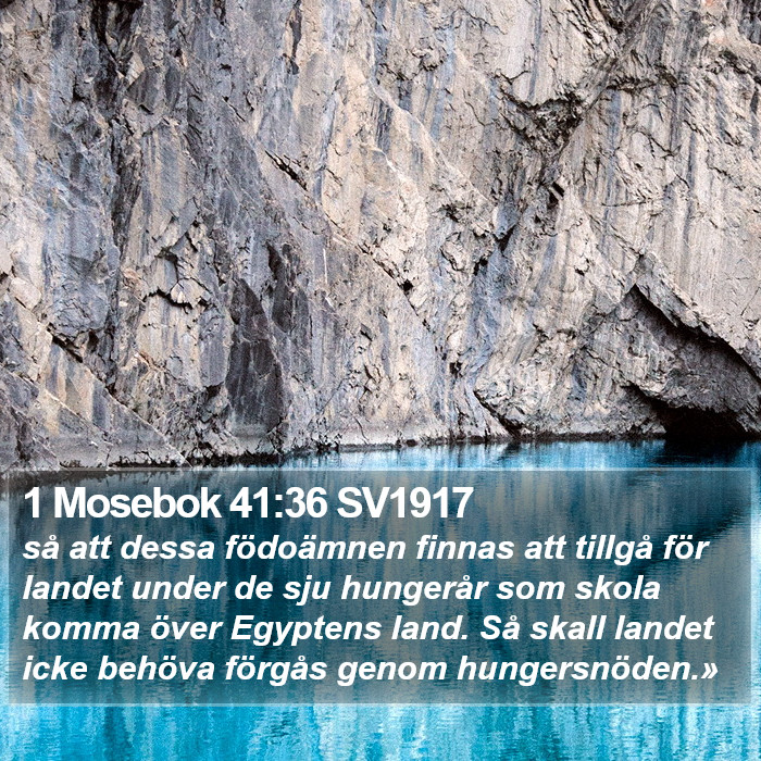 1 Mosebok 41:36 SV1917 Bible Study