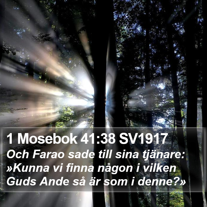 1 Mosebok 41:38 SV1917 Bible Study