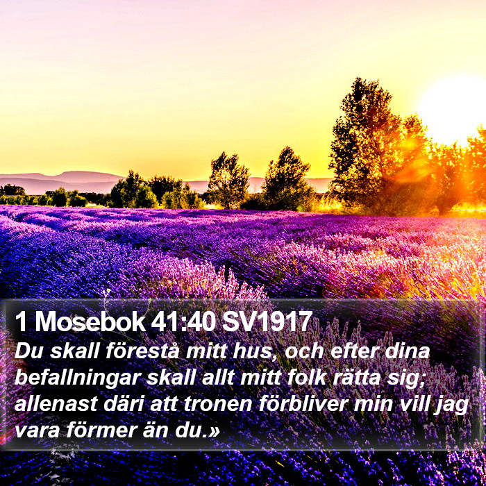 1 Mosebok 41:40 SV1917 Bible Study