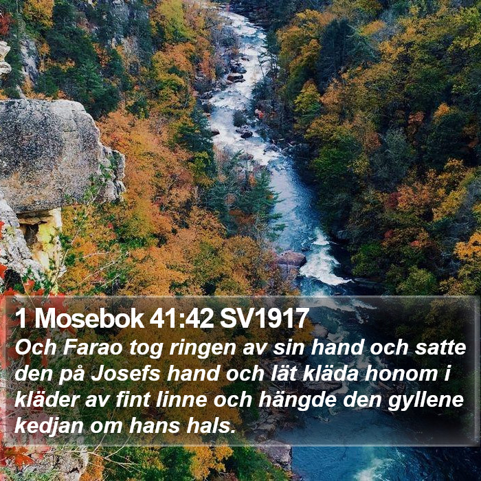 1 Mosebok 41:42 SV1917 Bible Study