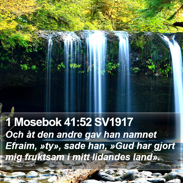 1 Mosebok 41:52 SV1917 Bible Study