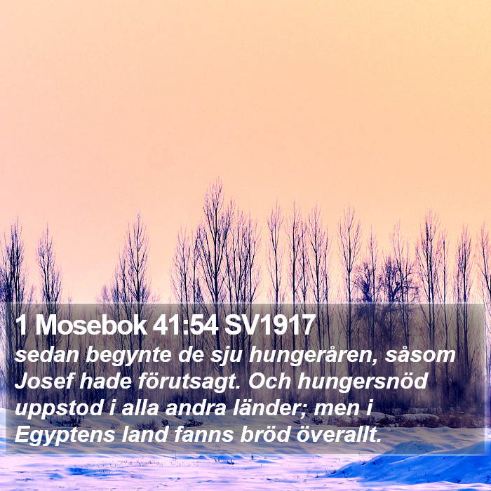 1 Mosebok 41:54 SV1917 Bible Study