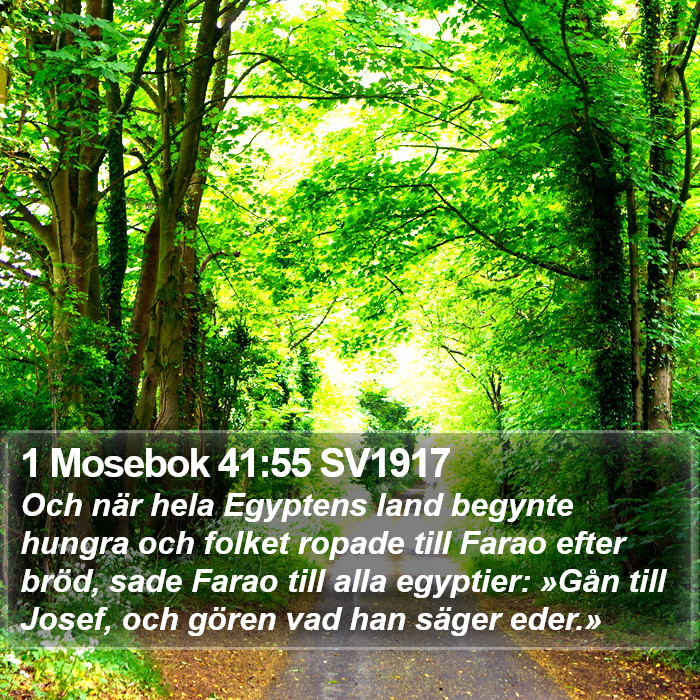 1 Mosebok 41:55 SV1917 Bible Study