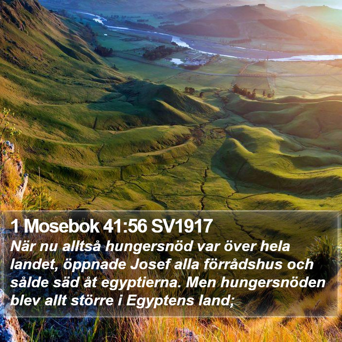 1 Mosebok 41:56 SV1917 Bible Study