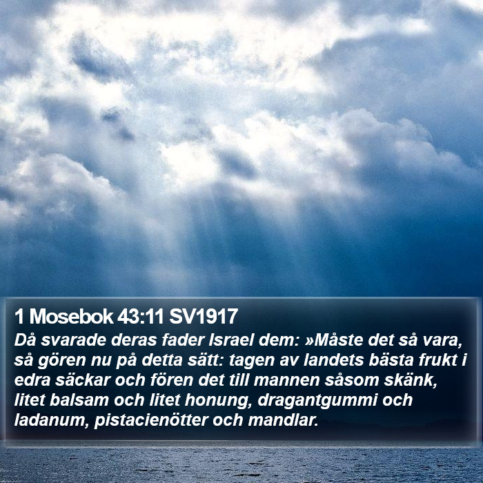 1 Mosebok 43:11 SV1917 Bible Study