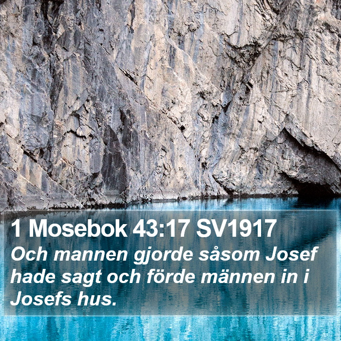 1 Mosebok 43:17 SV1917 Bible Study