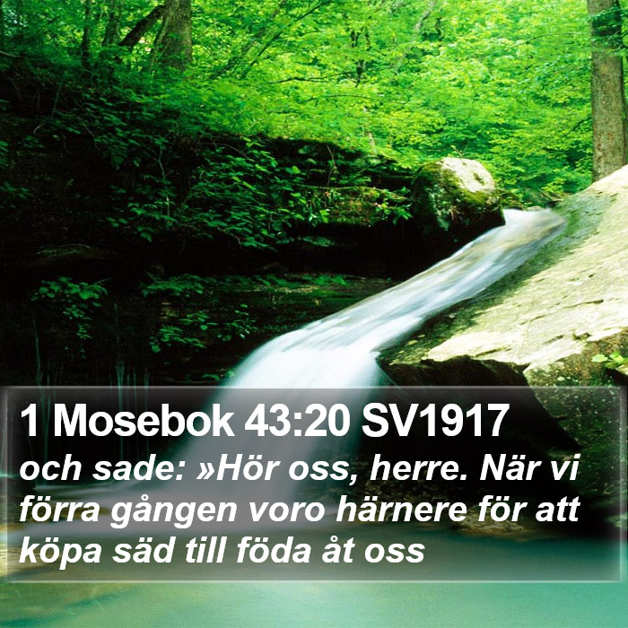 1 Mosebok 43:20 SV1917 Bible Study