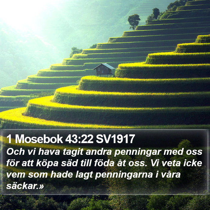 1 Mosebok 43:22 SV1917 Bible Study