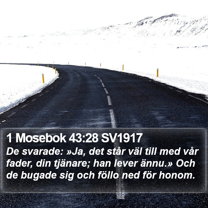 1 Mosebok 43:28 SV1917 Bible Study