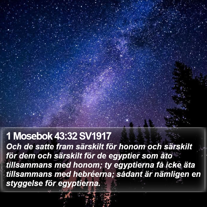 1 Mosebok 43:32 SV1917 Bible Study