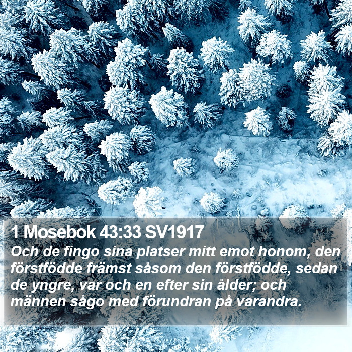 1 Mosebok 43:33 SV1917 Bible Study