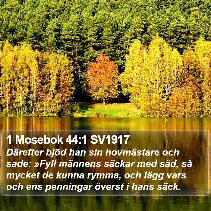 1 Mosebok 44:1 SV1917 Bible Study