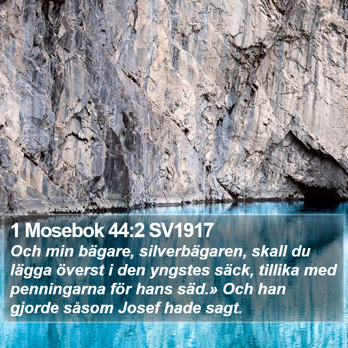 1 Mosebok 44:2 SV1917 Bible Study