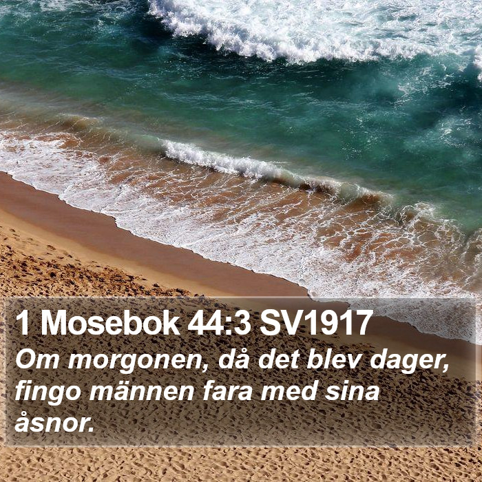 1 Mosebok 44:3 SV1917 Bible Study