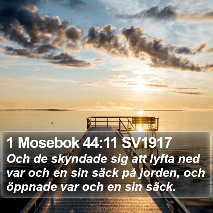 1 Mosebok 44:11 SV1917 Bible Study