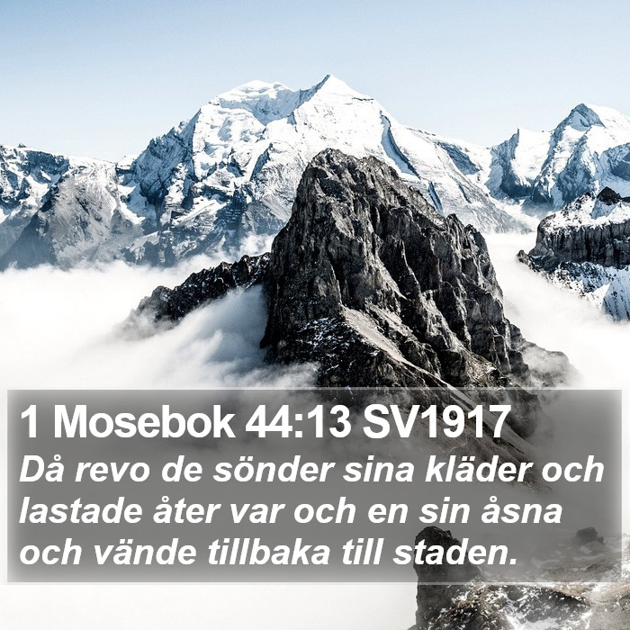 1 Mosebok 44:13 SV1917 Bible Study