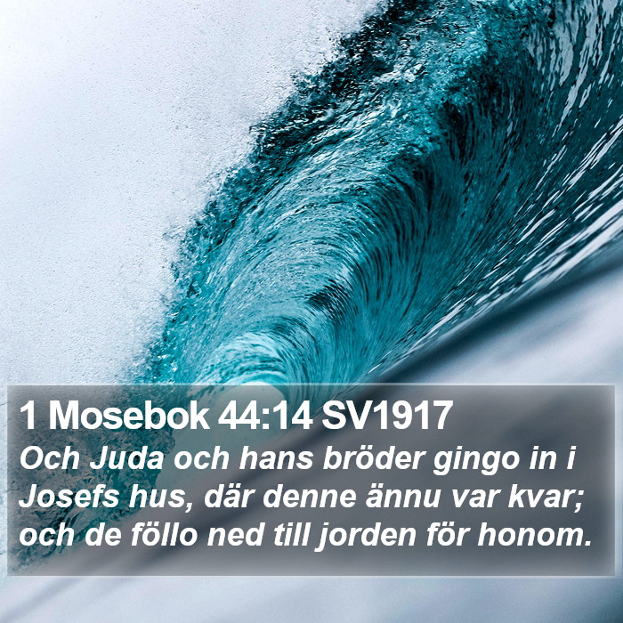 1 Mosebok 44:14 SV1917 Bible Study