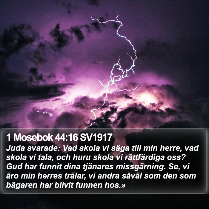 1 Mosebok 44:16 SV1917 Bible Study