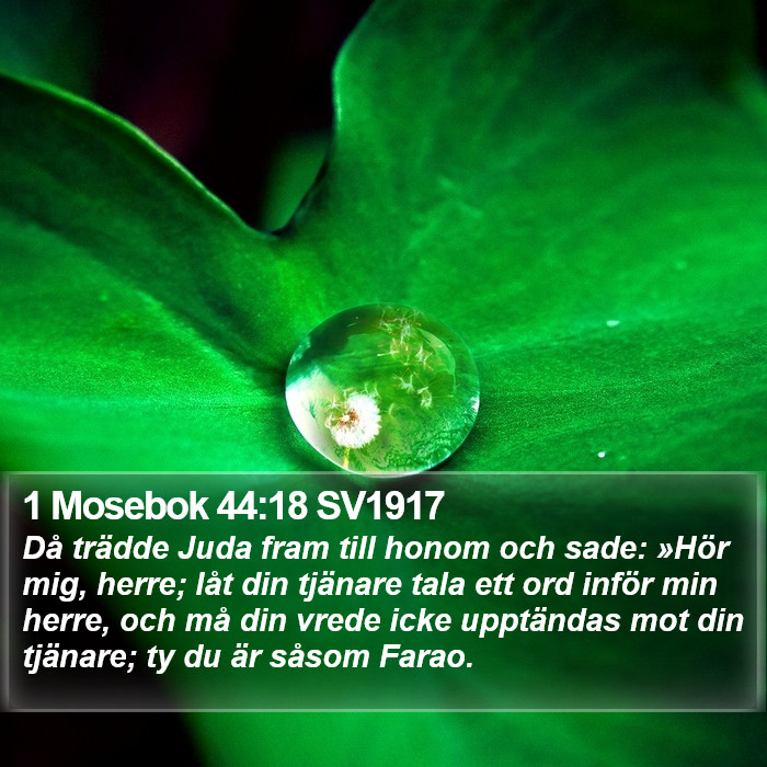 1 Mosebok 44:18 SV1917 Bible Study