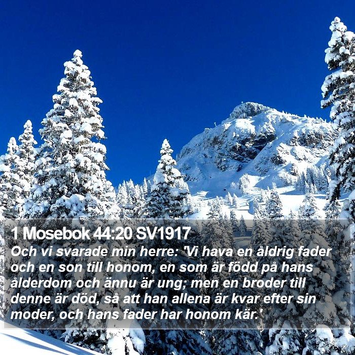 1 Mosebok 44:20 SV1917 Bible Study