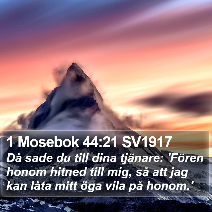 1 Mosebok 44:21 SV1917 Bible Study