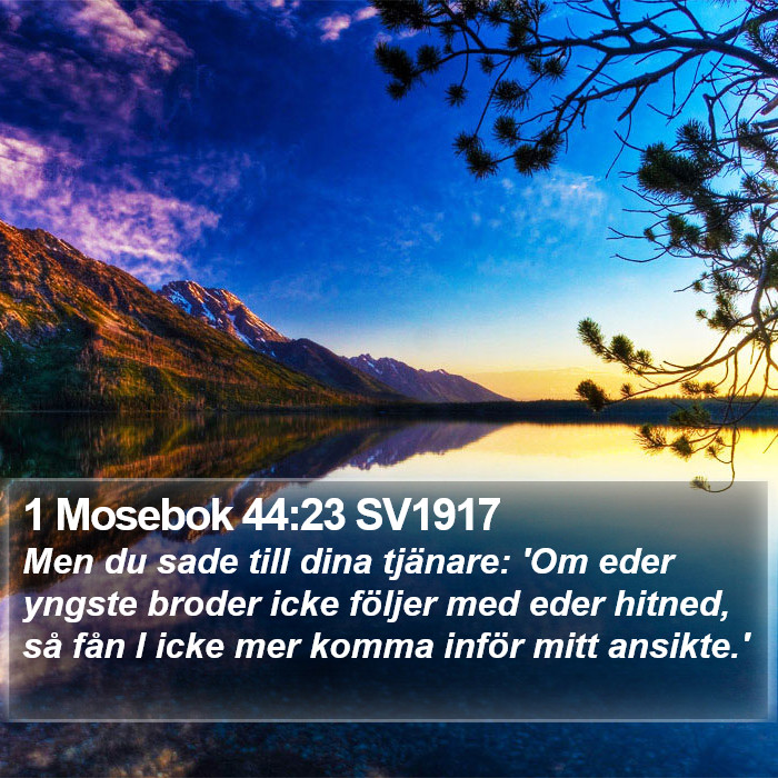 1 Mosebok 44:23 SV1917 Bible Study