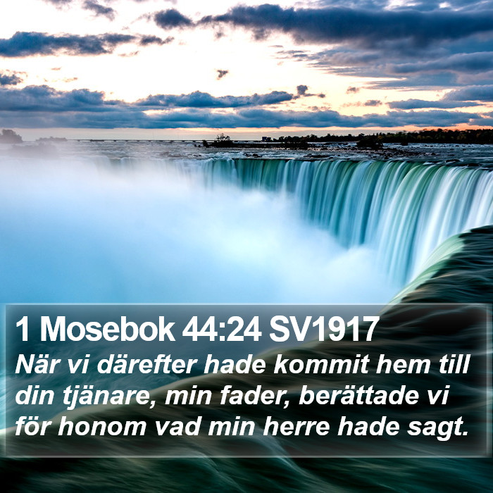 1 Mosebok 44:24 SV1917 Bible Study