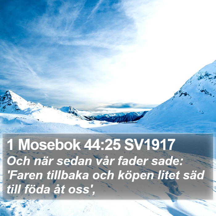 1 Mosebok 44:25 SV1917 Bible Study