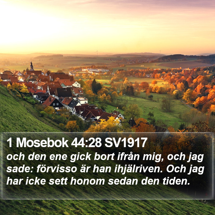 1 Mosebok 44:28 SV1917 Bible Study