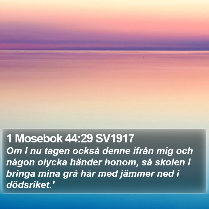 1 Mosebok 44:29 SV1917 Bible Study