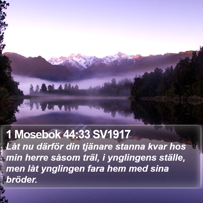 1 Mosebok 44:33 SV1917 Bible Study