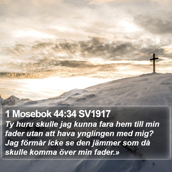 1 Mosebok 44:34 SV1917 Bible Study