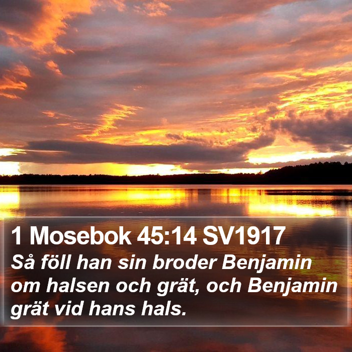 1 Mosebok 45:14 SV1917 Bible Study