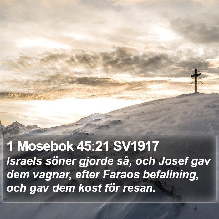 1 Mosebok 45:21 SV1917 Bible Study