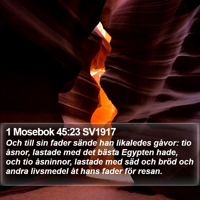 1 Mosebok 45:23 SV1917 Bible Study
