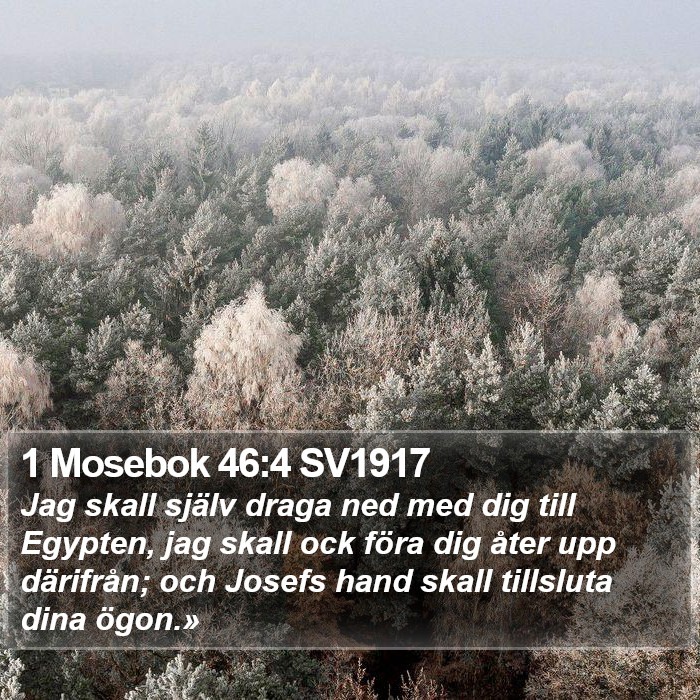 1 Mosebok 46:4 SV1917 Bible Study
