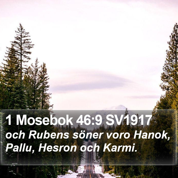 1 Mosebok 46:9 SV1917 Bible Study