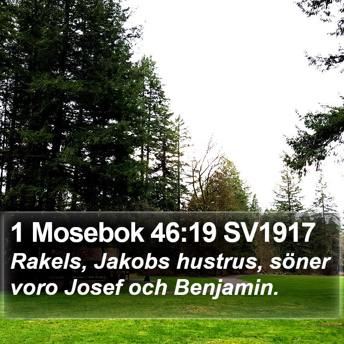 1 Mosebok 46:19 SV1917 Bible Study