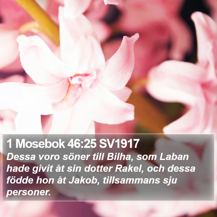 1 Mosebok 46:25 SV1917 Bible Study
