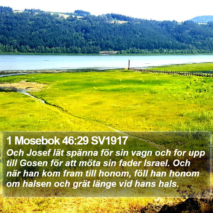 1 Mosebok 46:29 SV1917 Bible Study