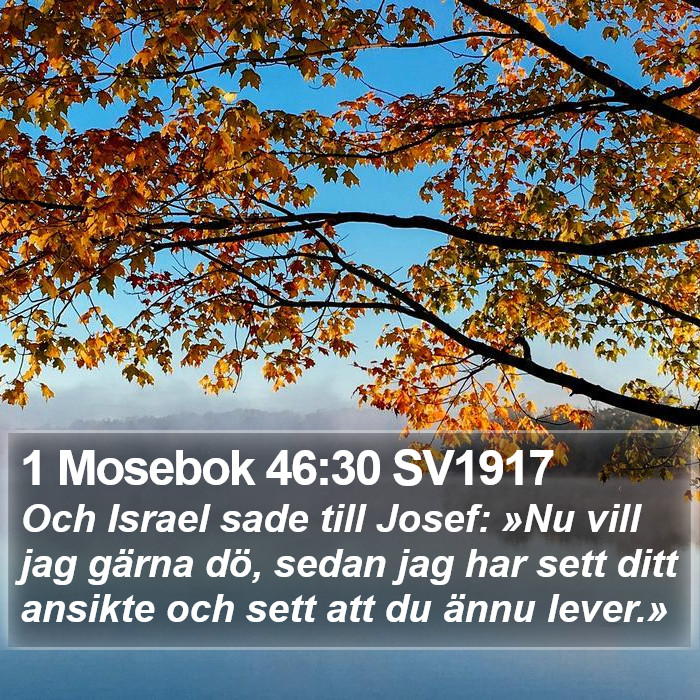 1 Mosebok 46:30 SV1917 Bible Study